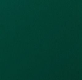 20 MOOS GREEN 6005 02.1161000013 116700 20 MOOS GREEN 6005 02.1161000013 116700