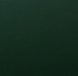 21 DARK GREEN 6125 02.1161000009 116700 21 DARK GREEN 6125 02.1161000009 116700